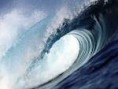 /album/les-photos-de-surf/sdxfcghjb-jpg/